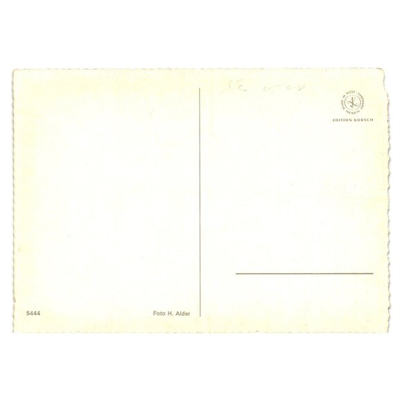 Vintage Edition Korsch Postcard Brown Foal Horse Pasture Munich West Germany - Picture 2 of 2